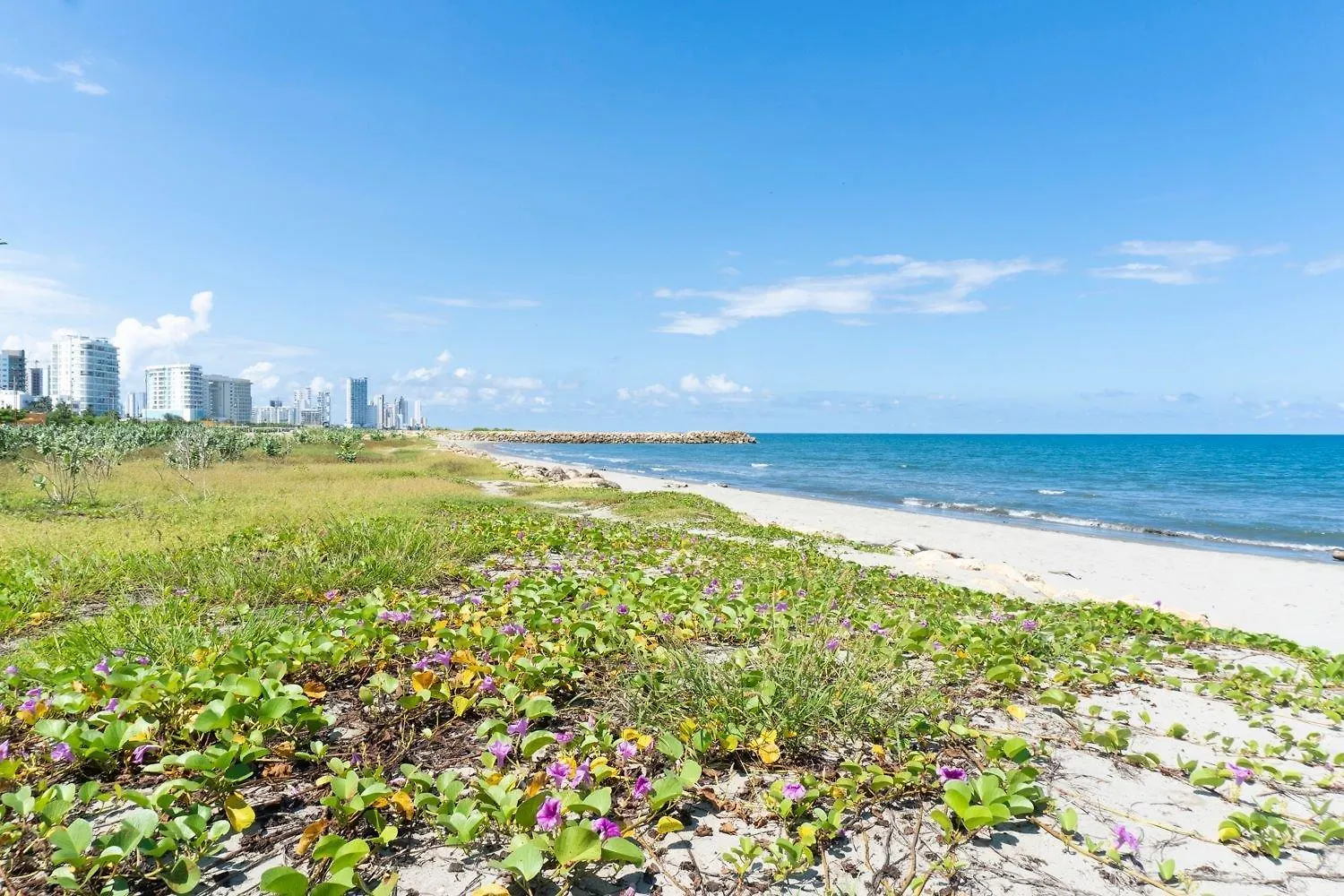 Cb1315 Preciosa Familiar Suite Vista Al Mar Crespo Cartagena 0*,  Κολομβία
